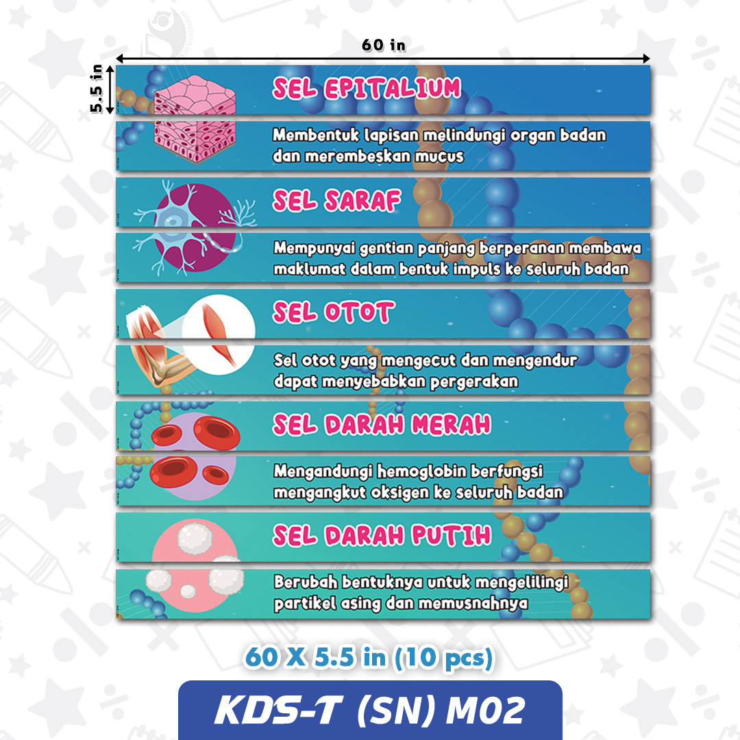 KDS-T (SN) M02